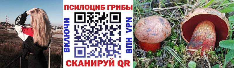 Галлюциногенные грибы Magic Shrooms  Купить  Буинск 