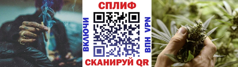 Конопля Amnesia  Купить где  Буинск 